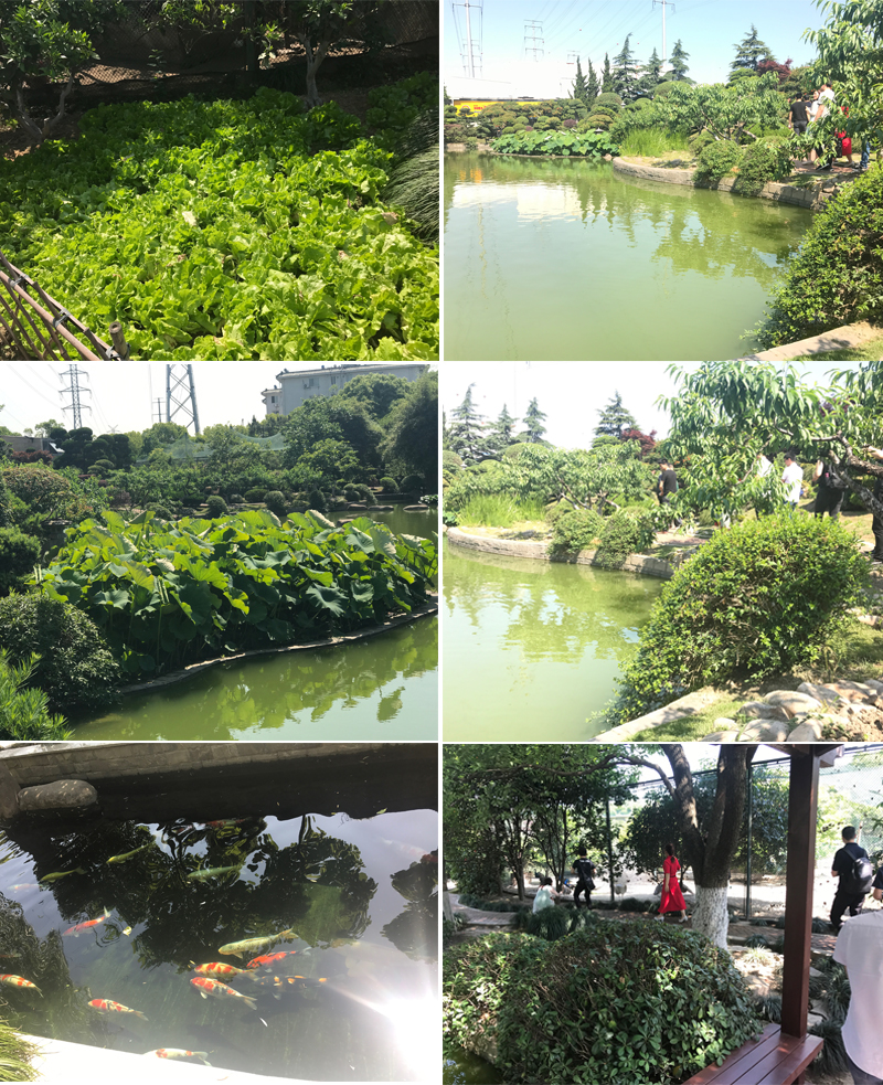 老高电商游学第三站——上海太太乐旗舰店 老高电商游学第三站——上海太太乐旗舰店