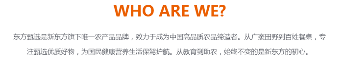 东方甄选