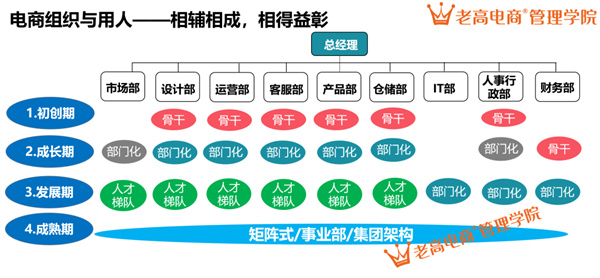 组织升级与人才梯队建设