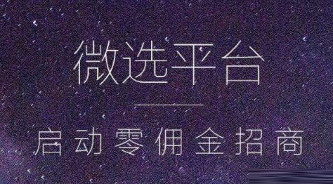 微选是什么？能与淘宝一较高下吗？_宣名电商