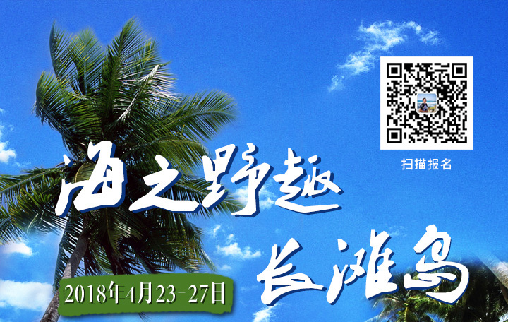 【老高电商旅行团】海之野趣——长滩岛_宣名网络