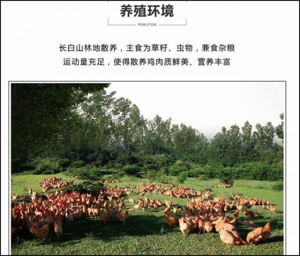电商网站