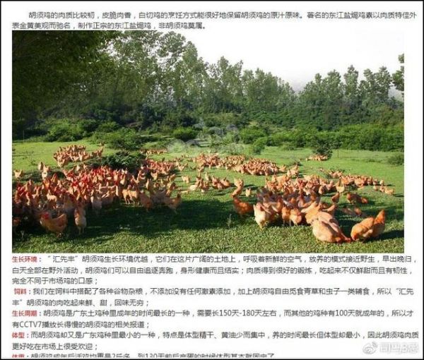 崔永元