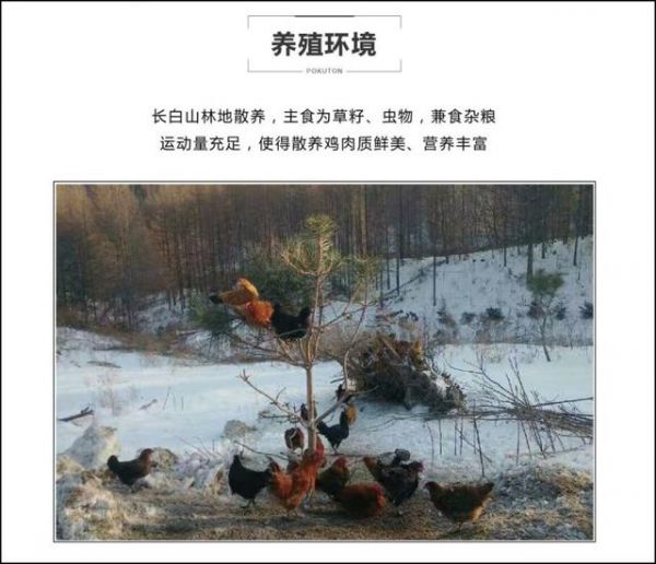 电商网站