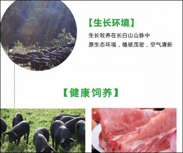 崔永元
