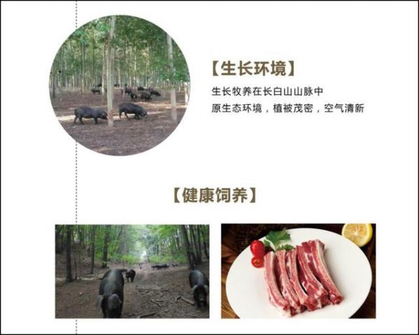 公然盗图